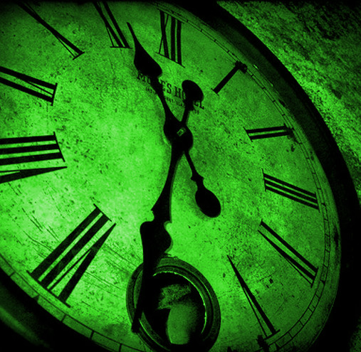 24 Years experience in to rent 