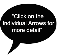 Credit Screening and Vetting Services