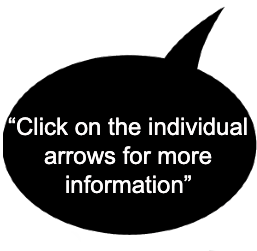 Credit Screening and Vetting Services